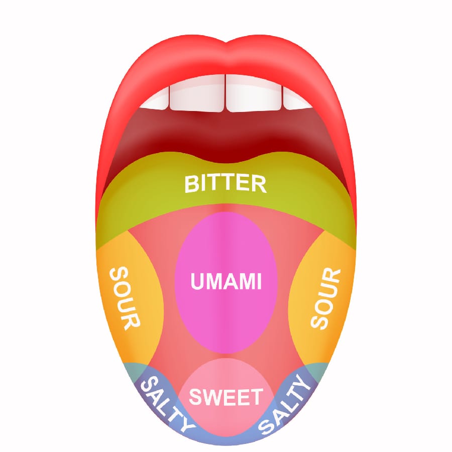 Illustration for: Identify